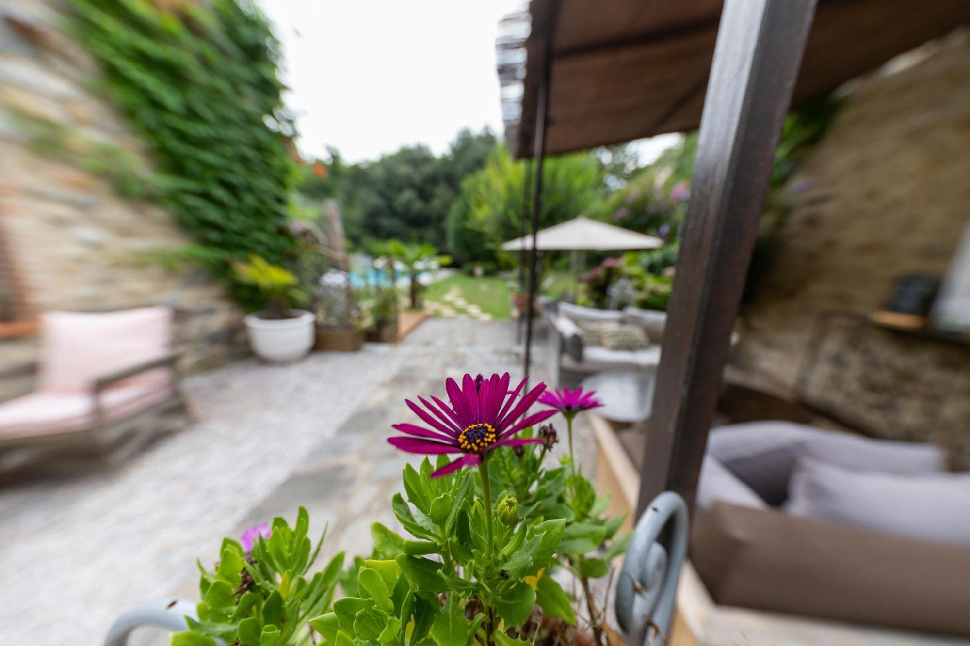 Hotel Le Mas Trilles Céret المظهر الخارجي الصورة