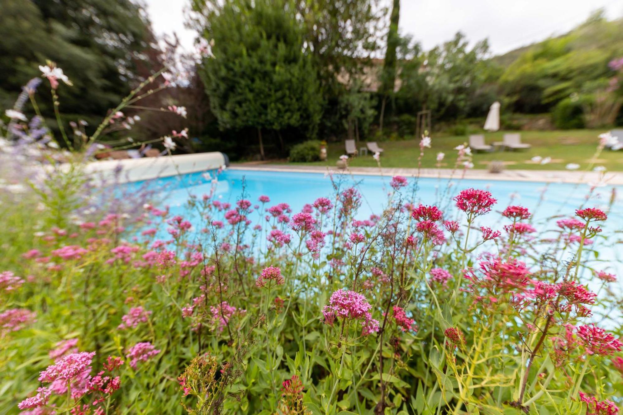 Hotel Le Mas Trilles Céret المظهر الخارجي الصورة